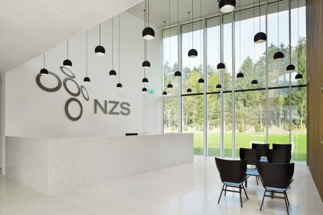 nzs